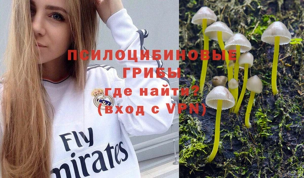 гидра Абдулино