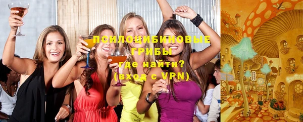 твердый Абаза