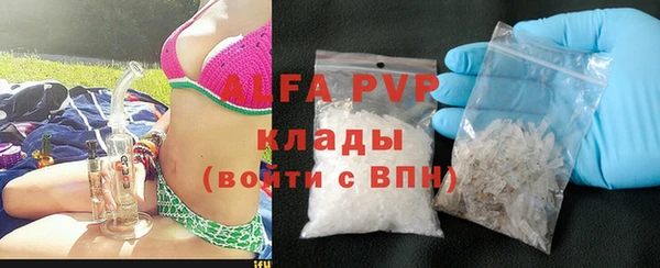 шишки Аркадак