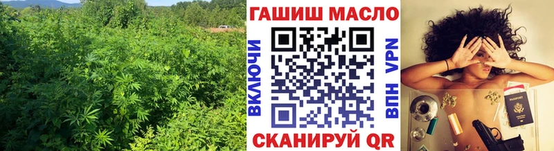 ТГК Wax Новопавловск